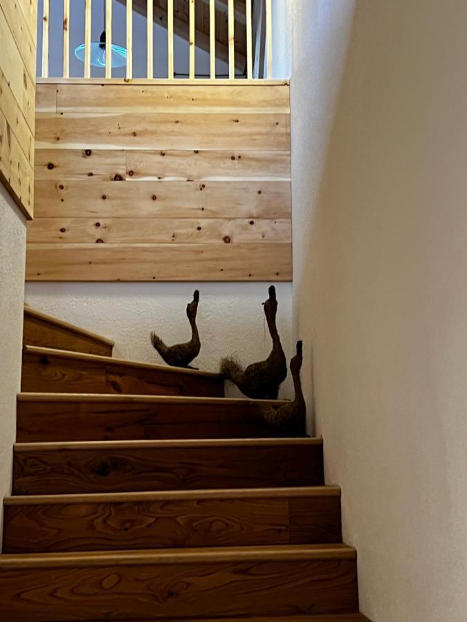 Luech Dl Finatzer Apartman San Martino in Badia Kültér fotó